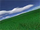 Green Fields 3D Screensaver